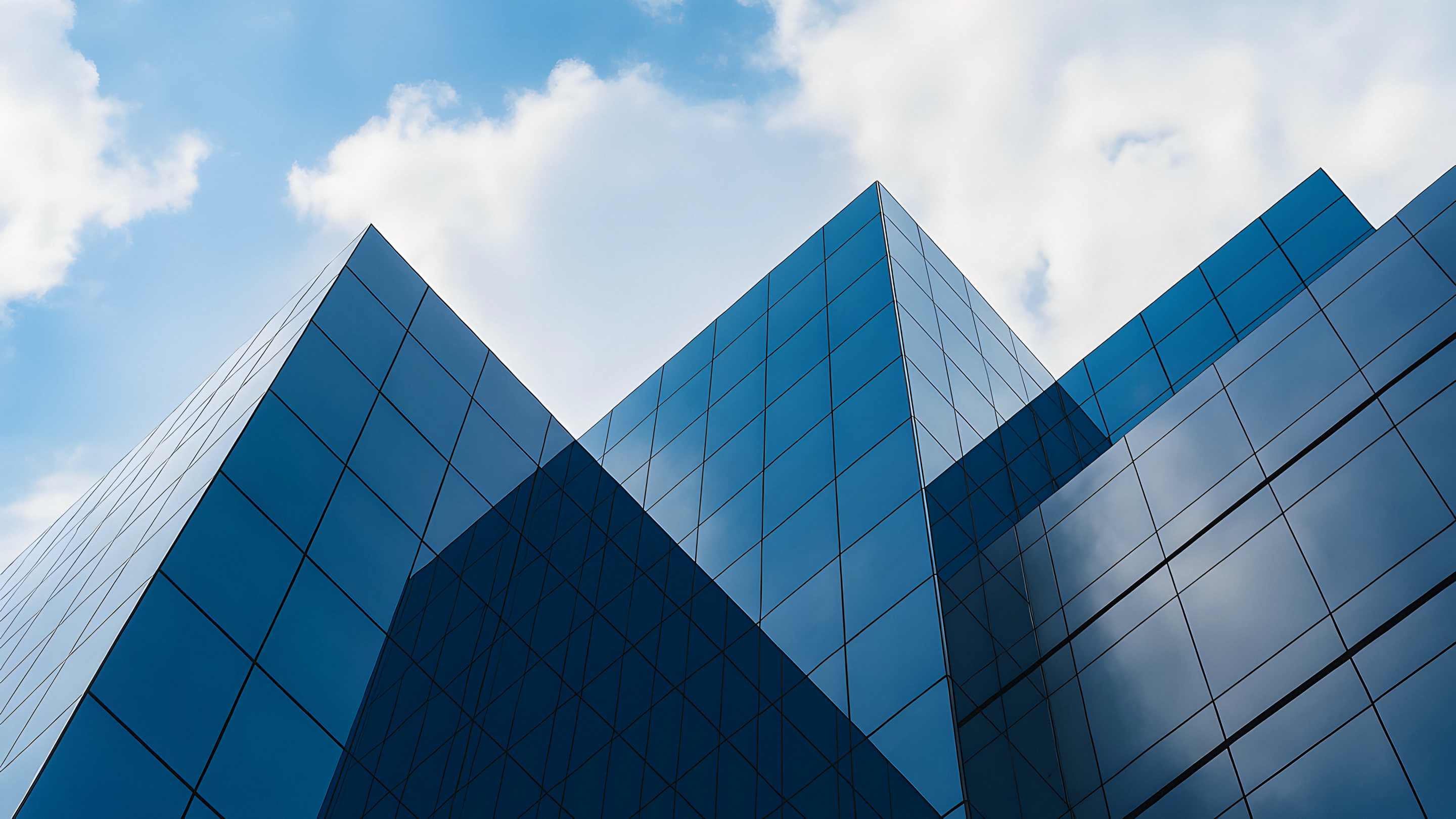 MiCount TechnologyProfessionnelÉquipe